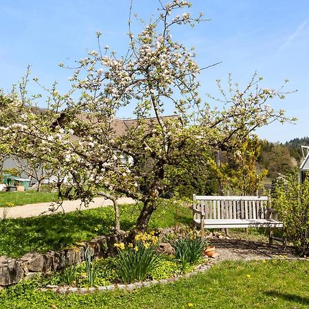 Ferienwohnung Im Alpenblick Steinen  ภายนอก รูปภาพ