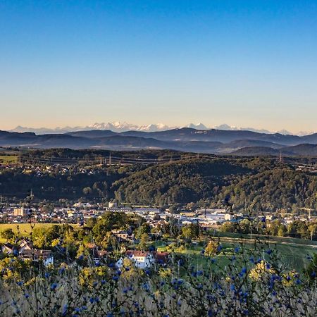 Ferienwohnung Im Alpenblick Steinen  ภายนอก รูปภาพ